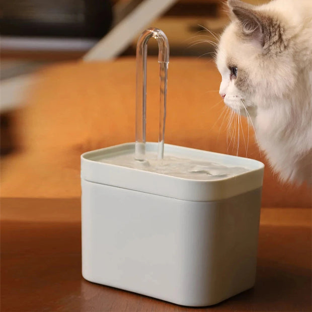 1.5L Cat Water Fountain Auto Filter Mute Cat Dog Drinker Bowl Recirculate Filtring Drinker for Cats Pet Water Dispenser Brodster Market