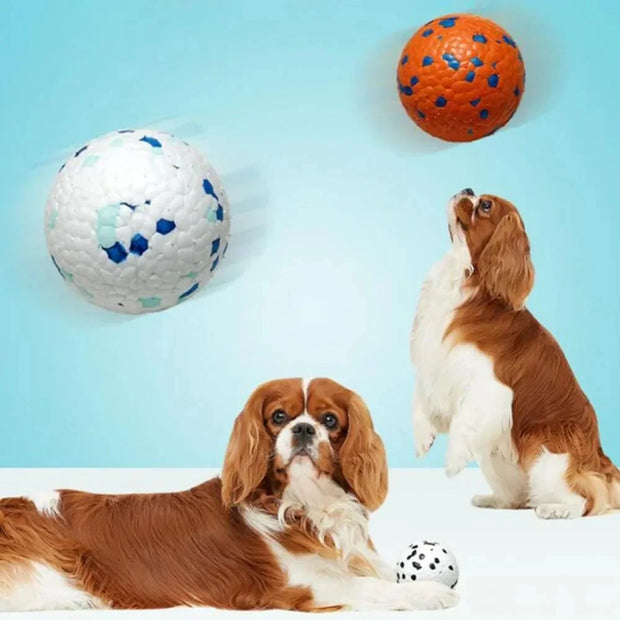 Dog Bite Resistant Ball Toy High Elastic Rebounding Pet Balls Anxiety Relief with Unique 3D Protrusions Chewing Pet Accessories Brodster Market