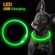 Led Usb Dog Collar Pet Dog Night Luminous Charge Collars Led Night Safety Flashing Glow Dog Loss Prevention Pet Accessorie Brodster Market