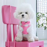 Small Dog Collar Harness Leash Set Cute Dog Collars With Bowknot Adjustable Pet Harnesses Vest for Small Medium Dogs Chihuahua Brodster Market