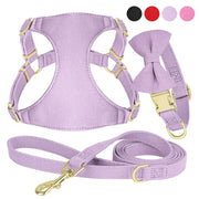 Small Dog Collar Harness Leash Set Cute Dog Collars With Bowknot Adjustable Pet Harnesses Vest for Small Medium Dogs Chihuahua Brodster Market