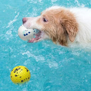 Dog Bite Resistant Ball Toy High Elastic Rebounding Pet Balls Anxiety Relief with Unique 3D Protrusions Chewing Pet Accessories Brodster Market