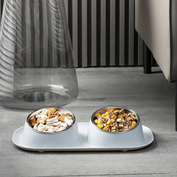 Stainless Steel Pet Bowl Anti-Spill Double Bowl for Dogs Cats Non-Slip Base Raised Design Durable Easy Clean Food Water Dish Brodster Market