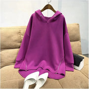 2023 Autumn New Style Women's Hooded Sweatshirt Loose Fit Plus Size Long Sleeve Zipper Up Thin Top Jacket Trendy Brodster Market