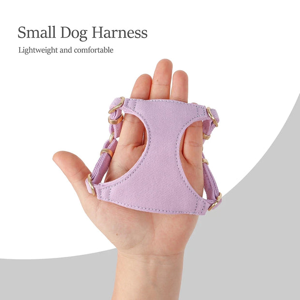 Small Dog Collar Harness Leash Set Cute Dog Collars With Bowknot Adjustable Pet Harnesses Vest for Small Medium Dogs Chihuahua Brodster Market