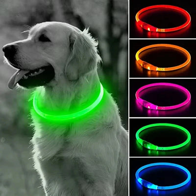 Led Usb Dog Collar Pet Dog Night Luminous Charge Collars Led Night Safety Flashing Glow Dog Loss Prevention Pet Accessorie Brodster Market