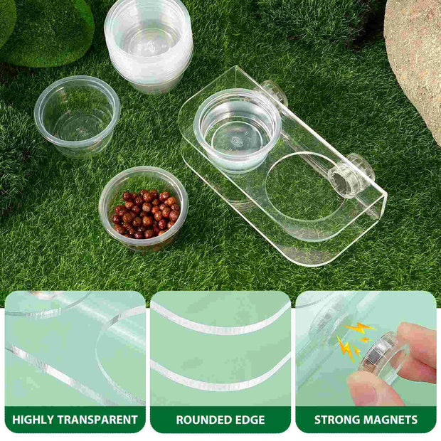 Premium Acrylic Pet Feeder Reptile Feeding Cups Gecko Food Bowls Animal Feeding Supplies Reptile Watering Dishes For Brodster Market