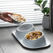 Stainless Steel Pet Bowl Anti-Spill Double Bowl for Dogs Cats Non-Slip Base Raised Design Durable Easy Clean Food Water Dish Brodster Market