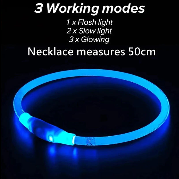 Led Usb Dog Collar Pet Dog Night Luminous Charge Collars Led Night Safety Flashing Glow Dog Loss Prevention Pet Accessorie Brodster Market
