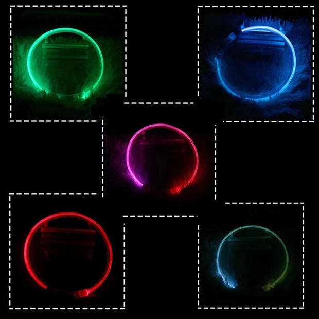 Led Usb Dog Collar Pet Dog Night Luminous Charge Collars Led Night Safety Flashing Glow Dog Loss Prevention Pet Accessorie Brodster Market